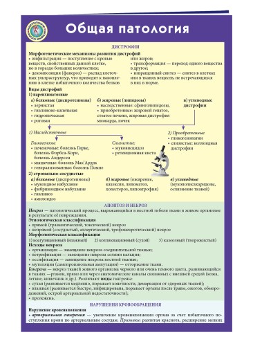 Общая патология