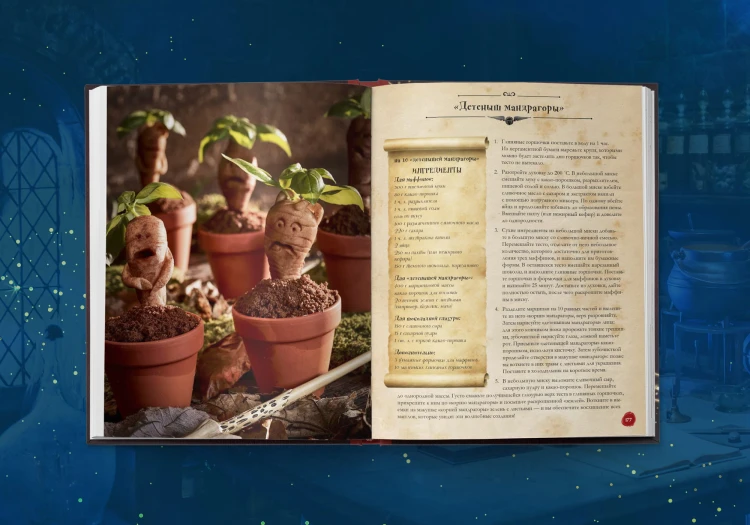 Кулинарная книга Гарри Поттера. Иллюстрированное неофициальное издание