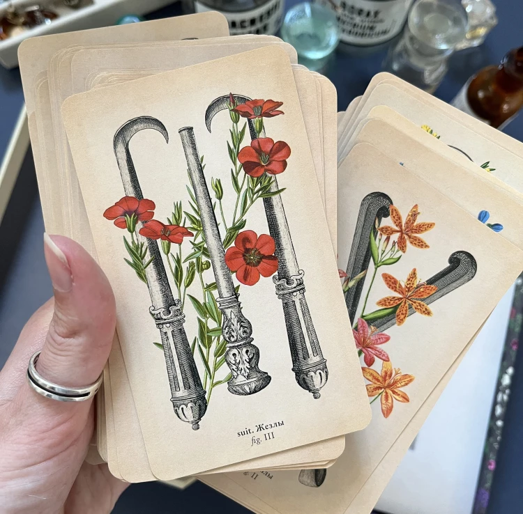 Antique Anatomy Tarot. Таро античной анатомии