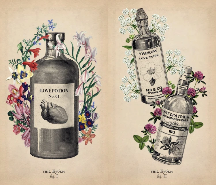 Antique Anatomy Tarot. Таро античной анатомии