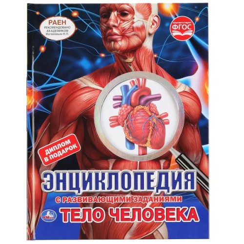 ТЕЛО ЧЕЛОВЕКА (ЭНЦИКЛОПЕДИЯ А4 С ВЫРУБКОЙ НА ОБЛОЖКЕ).