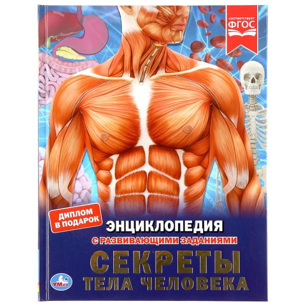 СЕКРЕТЫ ТЕЛА ЧЕЛОВЕКА (ЭНЦИКЛОПЕДИЯ А4).