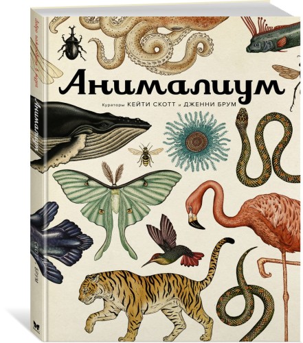 Анималиум