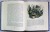 "Покоритель зари", или Плавание на край света (цв. ил. П. Бэйнс)