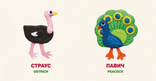 Птахи. Birds2.jpg