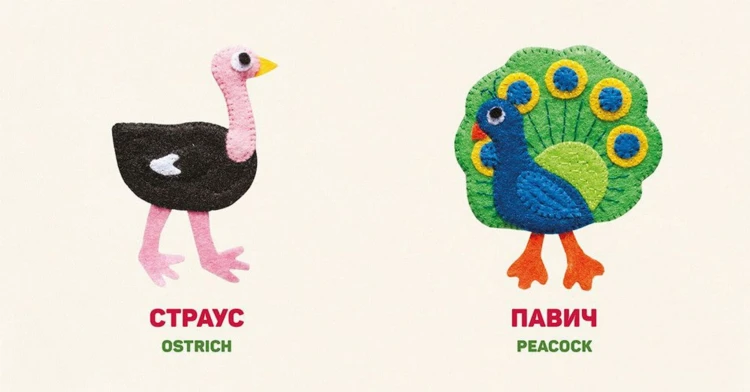 Птахи. Birds2.jpg