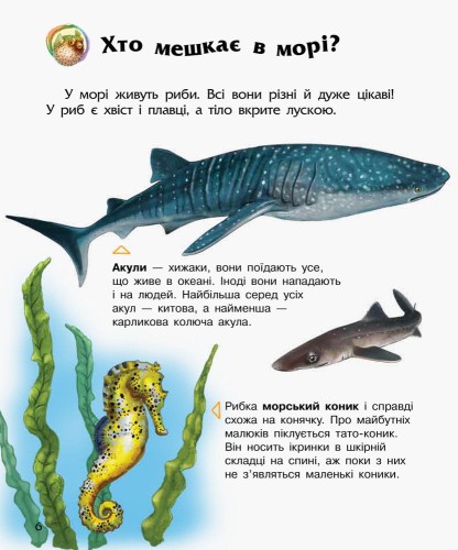 Океани та моря