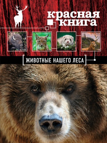 Красная книга. Животные нашего леса (ПР)