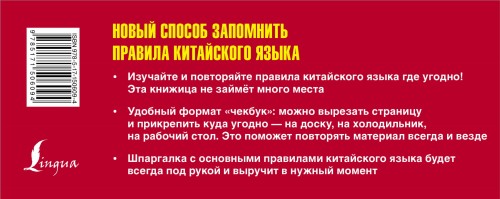Самый быстрый способ выучить правила китайского языка