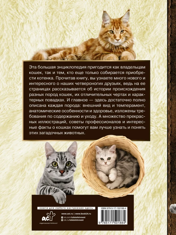Большая энциклопедия. Кошки