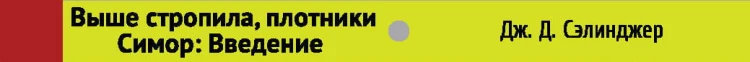 Выше стропила, плотники. Симор: введение