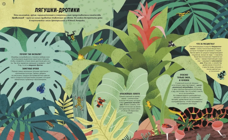 Ядовитые животные. Кто, зачем и как использует яды в дикой природе