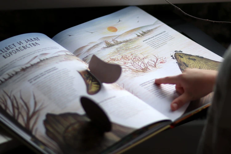Королевство насекомых. Интерактивная книга с окошками о жизни муравьёв, ос и пчёл