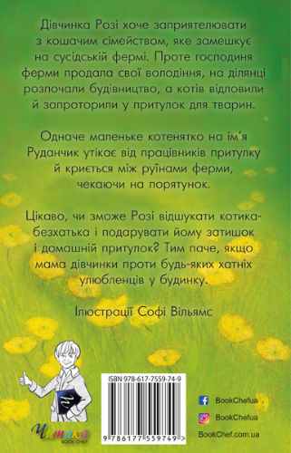 Руданчик — кошеня-безхатько3.png