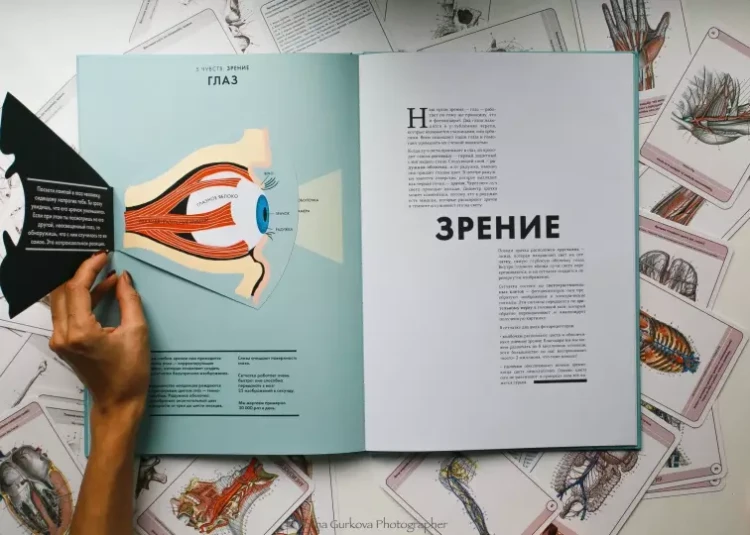Screenshot_2021-02-24 Анатомия Интерактивный атлас с клапанами и резными иллюстрациями(8).png