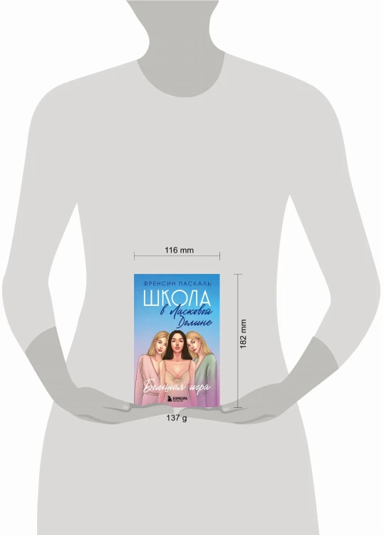 Школа в Ласковой Долине. Большая игра (Книга № 4)
