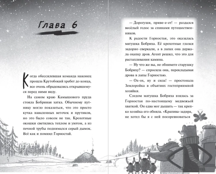 Тайна незнакомца в шляпе (#2)