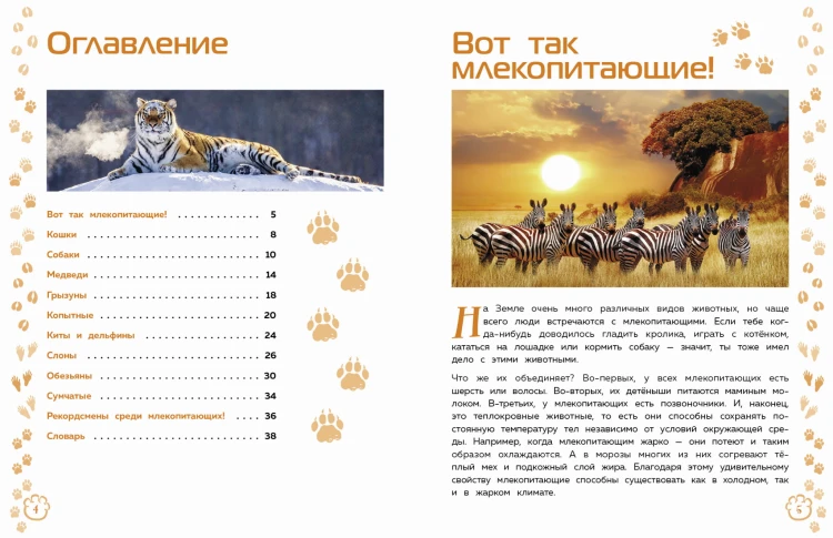 Млекопитающие