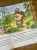IMG_0626.jpeg