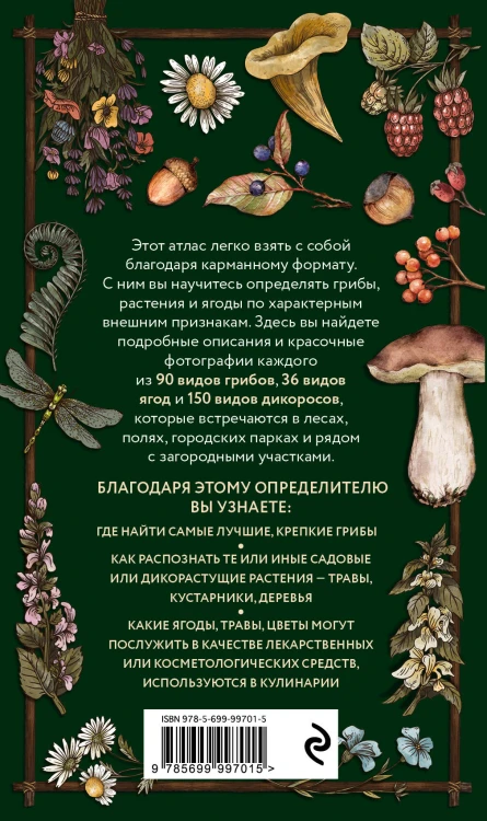 Лесной гид: грибы, ягоды, травы. Карманный атлас-определитель