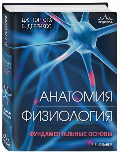 Анатомия. Физиология. Фундаментальные основы. 15-е издание