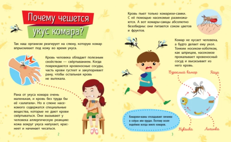 Насекомые. Почемучки3.jpg