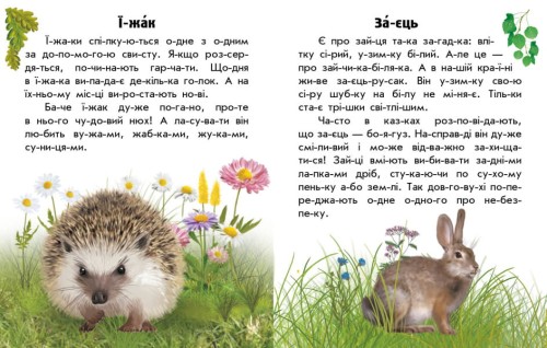Читаю про Україну. Тварини лісів2.jpg