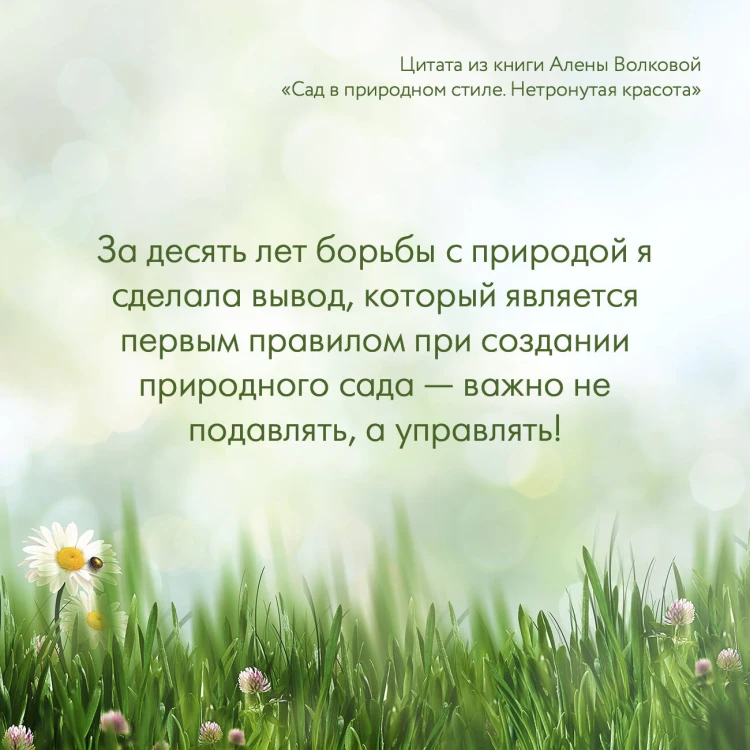 Сад в природном стиле. Нетронутая красота
