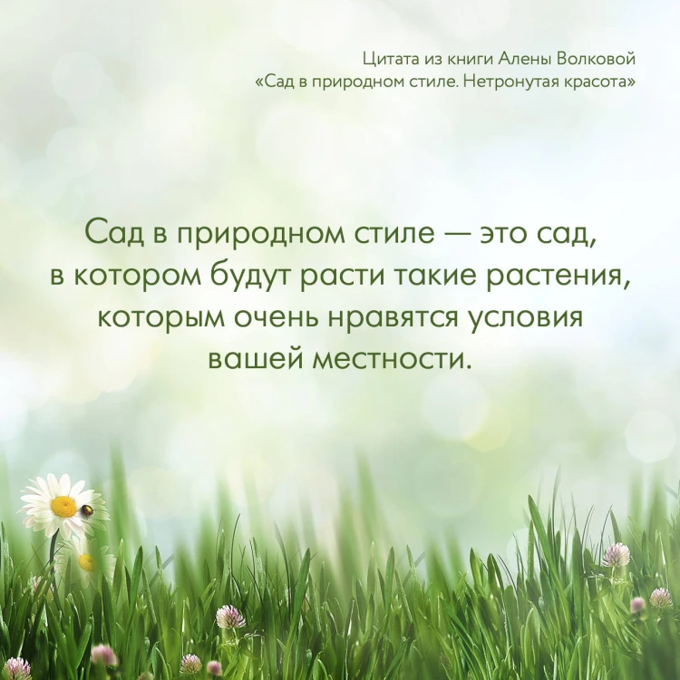 Сад в природном стиле. Нетронутая красота