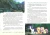002.webp