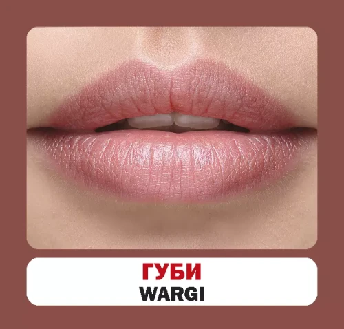 Частини тіла (польсько-українські)2.webp
