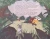 003.webp