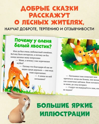 002.webp