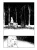 005.webp