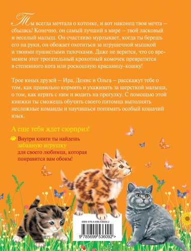 Учусь ухаживать за котенком (Подарочные издания. Мой питомец)