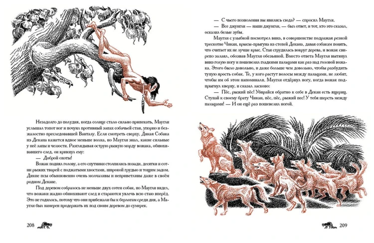maugli7.jpg
