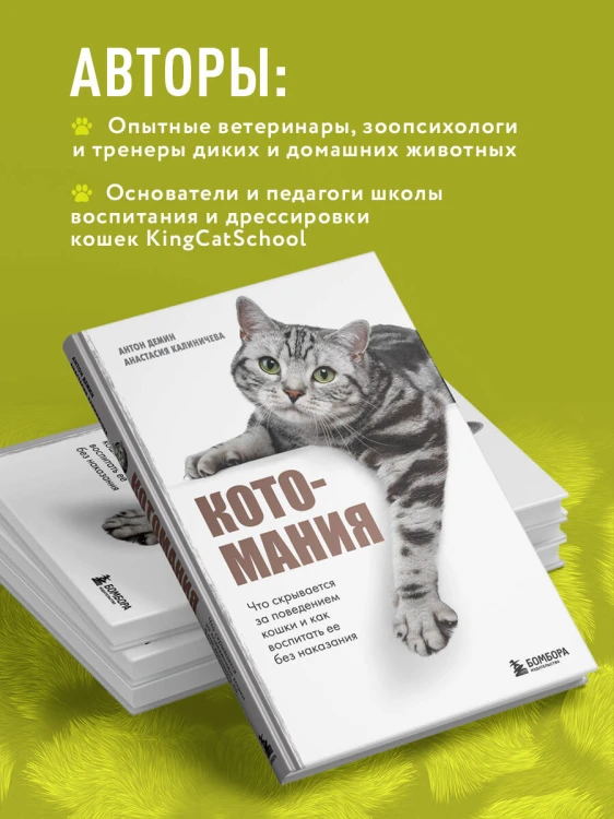 Котомания. Что скрывается за поведением кошки и как воспитать ее без наказания