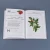 Букварь.webp