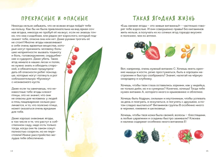 Ягоды. Атлас-определитель
