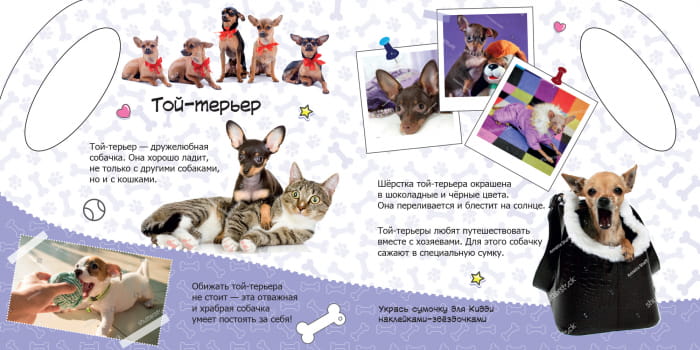 Собачки