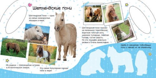 Пони и единороги