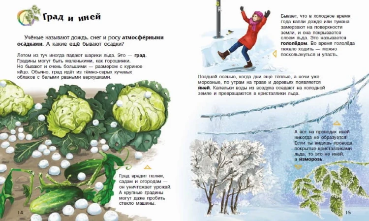 Явления природы