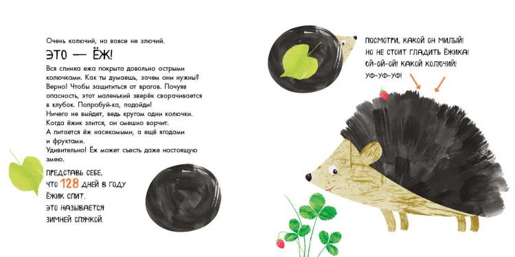 Эти удивительные животные