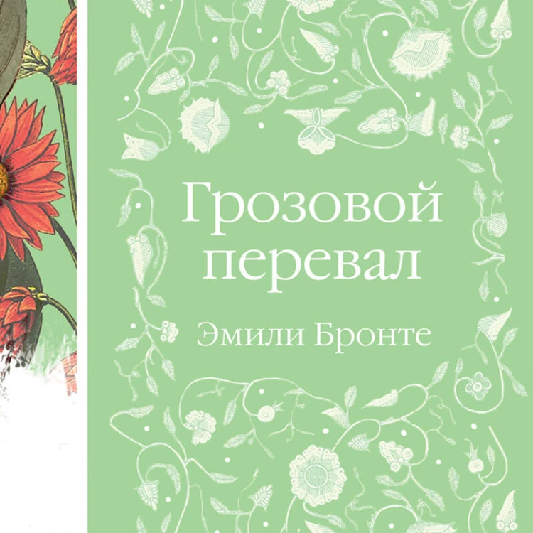 Набор "Нежный вьюнок" (из 5-ти романов: "Эмма", "Джейн Эйр", "Вдали от обезумевшей толпы", "Маленькая хозяйка Большого дома", "Грозовой перевал")