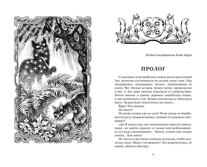 002.webp