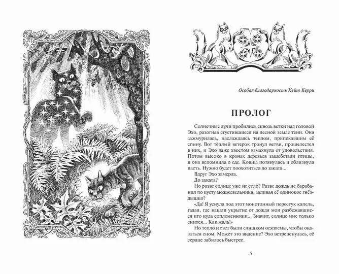 003.webp