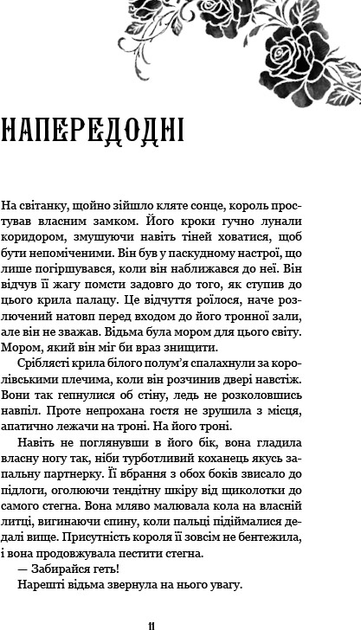 6.webp