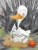 003.webp