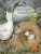 005.webp