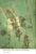 003.webp